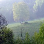 Fot. Zbigniew Bochenek