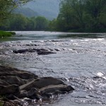 Fot. Zbigniew Bochenek