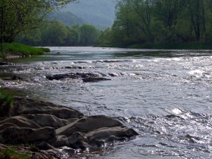 Fot. Zbigniew Bochenek