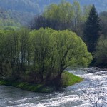 Fot. Zbigniew Bochenek