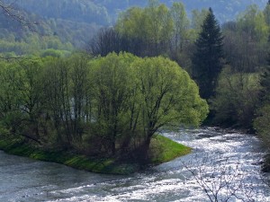 Fot. Zbigniew Bochenek