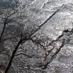 Fot. Zbigniew Bochenek