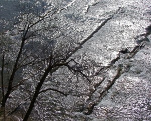 Fot. Zbigniew Bochenek