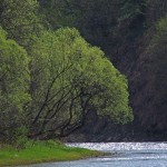 Fot. Zbigniew Bochenek