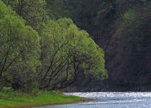 Fot. Zbigniew Bochenek