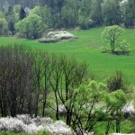 Fot. Zbigniew Bochenek