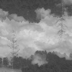 Fot. Agnieszka Twardawa