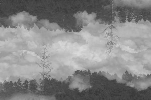 Fot. Agnieszka Twardawa