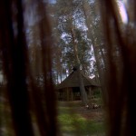 Fot. Agnieszka Stafiej