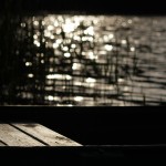 Fot. Agnieszka Stafiej