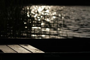 Fot. Agnieszka Stafiej