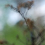 Fot. Agnieszka Stafiej