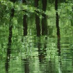 Fot. Agnieszka Stafiej