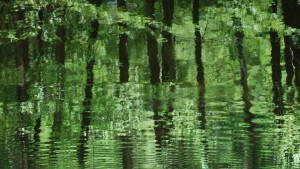 Fot. Agnieszka Stafiej