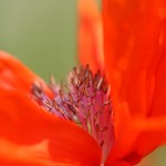 Fot. Agata Łęgowska