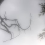 Fot. Agata Łęgowska