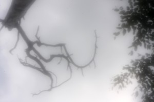 Fot. Agata Łęgowska