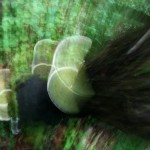 Fot. Agata Łęgowska