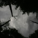 Fot. Agata Łęgowska