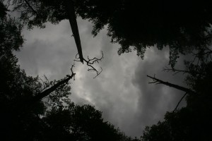 Fot. Agata Łęgowska