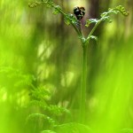 Fot. Agata Łęgowska