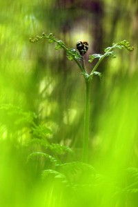 Fot. Agata Łęgowska