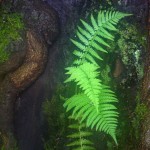 Fot. Agata Łęgowska