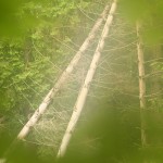 Fot. Agata Łęgowska