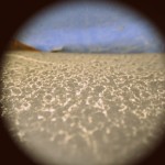 Fot. Weronika Banaszczyk