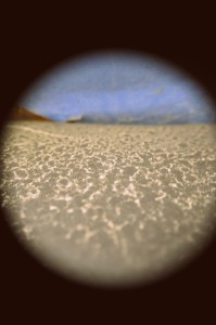 Fot. Weronika Banaszczyk