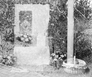 Fot. Agnieszka Twardawa