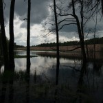 Fot. Agnieszka Twardawa