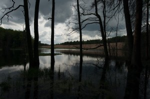 Fot. Agnieszka Twardawa