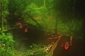 Fot. Agnieszka Twardawa