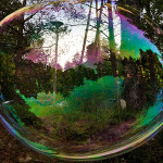 Fot. Agnieszka Twardawa