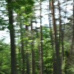 Fot. Jadwiga Bartczak