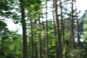 Fot. Jadwiga Bartczak