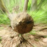 Fot. Jadwiga Bartczak