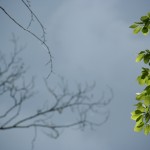 Fot. Jadwiga Bartczak