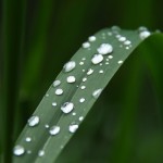 Fot. Jadwiga Bartczak