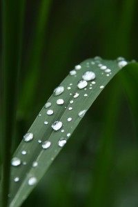 Fot. Jadwiga Bartczak