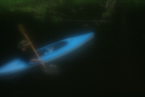 Fot. Jadwiga Bartczak