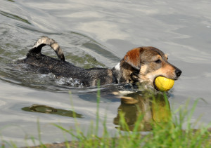 Fot. Małgorzata Dziekańska