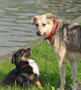 Fot. Małgorzata Dziekańska