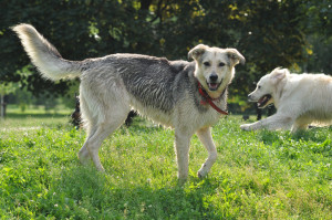 Fot. Małgorzata Dziekańska