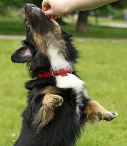 Fot. Małgorzata Bonowska