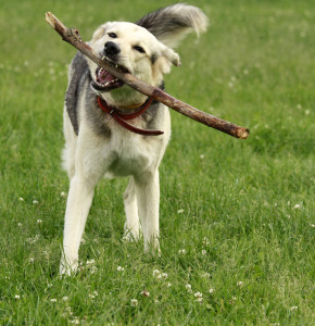 Fot. Małgorzata Bonowska