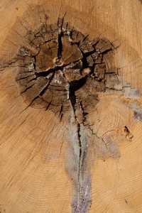 Fot. Przemysław Kwaśny