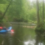 Fot. Przemysław Kwaśny