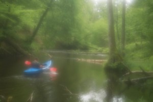 Fot. Przemysław Kwaśny